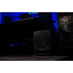 Eris Pro Sub 10 Aktif Stüdyo Subwoofer - 5