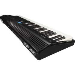 GO-61P GO:PIANO Org - 4