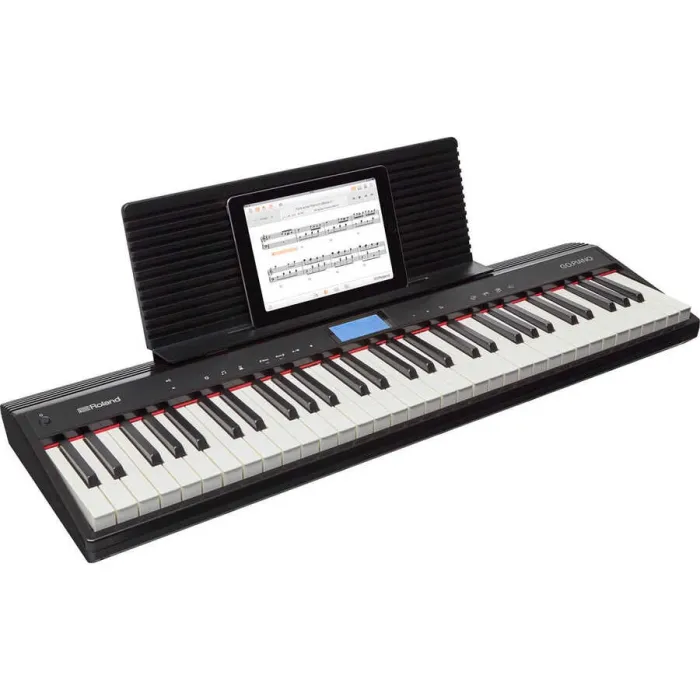 GO-61P GO:PIANO Org - 5