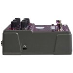 Rose Digital Delay Pedal w/Analog Circuitry - 4