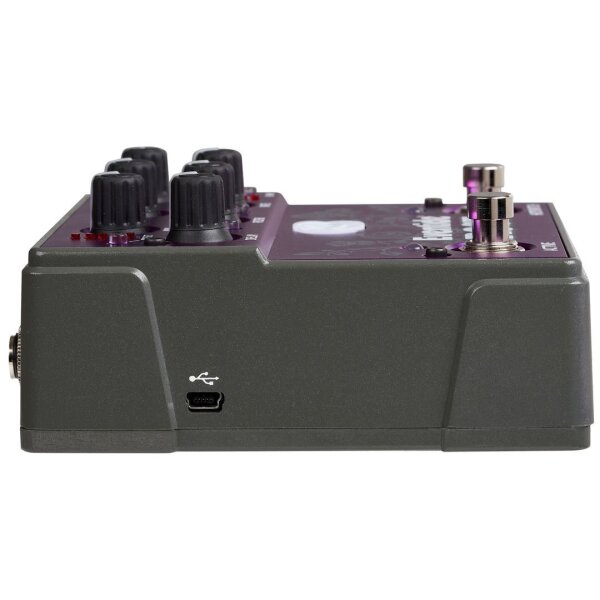 Rose Digital Delay Pedal w/Analog Circuitry - 4