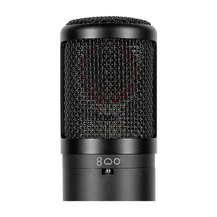 SE2300 Geniş Diyaframlı Multi Patern Kondenser Mikrofon - 3