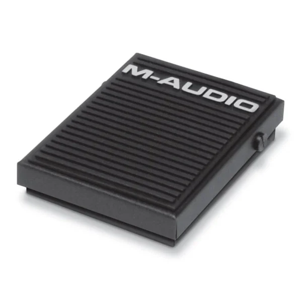 SP-1 | Sustain Pedalı - 1