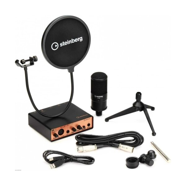 UR12 / Podcast Başlangıç Paketi - Steinberg