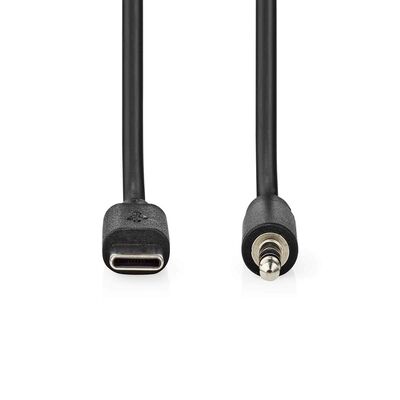 USB-C Erkek - 3.5 mm Erkek 1 m Çevirici Kablo - 2