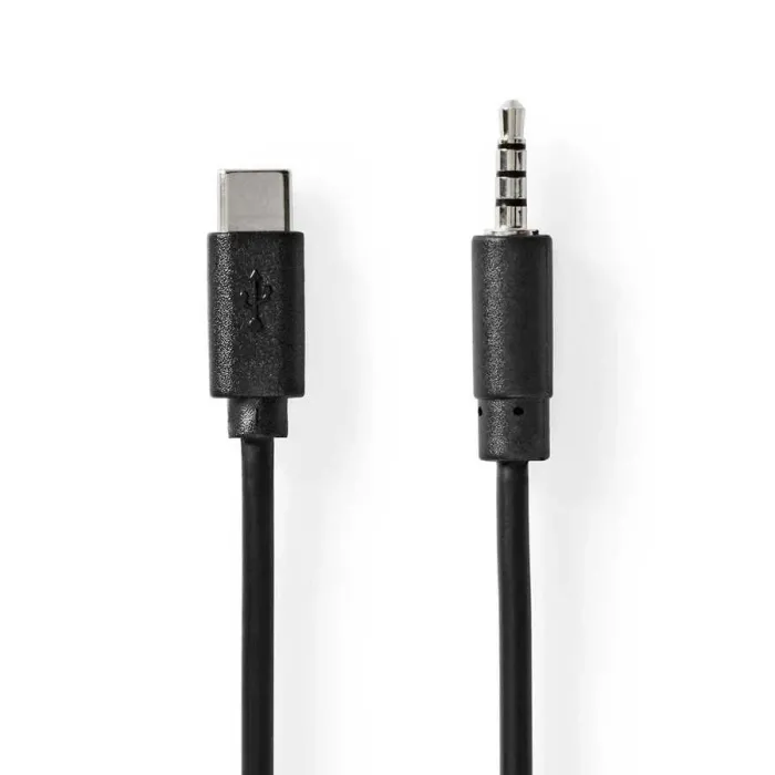 USB-C Erkek - 3.5 mm Erkek 1 m Çevirici Kablo - 1