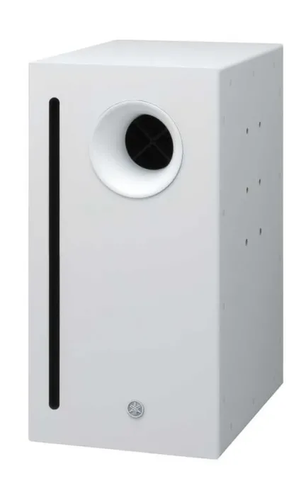 VXS10STW Uygulama Tipi Subbass - 1