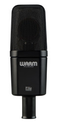 WA-14 Profesyonel Condenser Kayıt Mikrofonu - Thumbnail