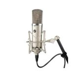 WA-67 Tüplü Stüdyo Kondenser Mikrofon - Warm Audio