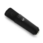 WA-87 R2 Profesyonel Stüdyo Mikrofon / Black - Warm Audio