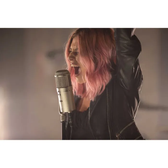 WA-47F Geniş Diyaframlı Condenser Mikrofon - 3