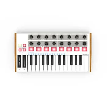 Worlde Mini 25 Tuş Midi Klavye - 3