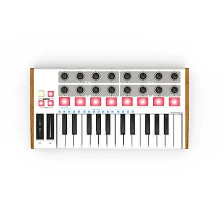 Worlde Mini 25 Tuş Midi Klavye - 3